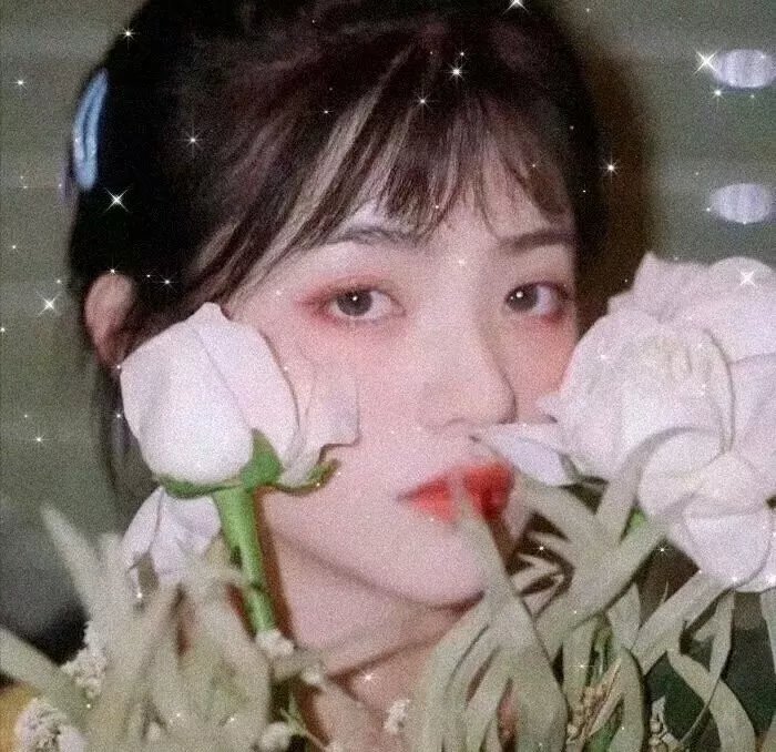 孽情记